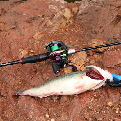 Sougayilang [Estilo Básico] Conjunto de Equipamentos de Pesca, Incluindo Vara de Pesca de Fibra de Carbono de 1,8 m e 5 Seções, Molinete Colorido com Relação de Engrenagem 7.2, Linha de Pesca, Isca de Pesca e Outros Acessórios